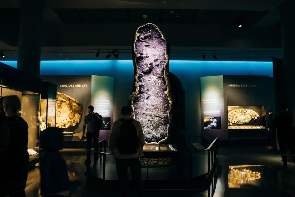 American Museum of Natural History, New York - Image by Brester Irina / Shutterstock.com