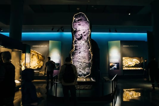 American Museum of Natural History, New York - Image by Brester Irina / Shutterstock.com