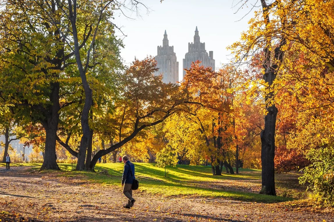 New York in the fall - Image by LP2 Studio / Shutterstock.com