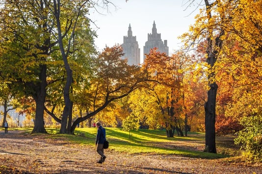 New York in the fall - Image by LP2 Studio / Shutterstock.com