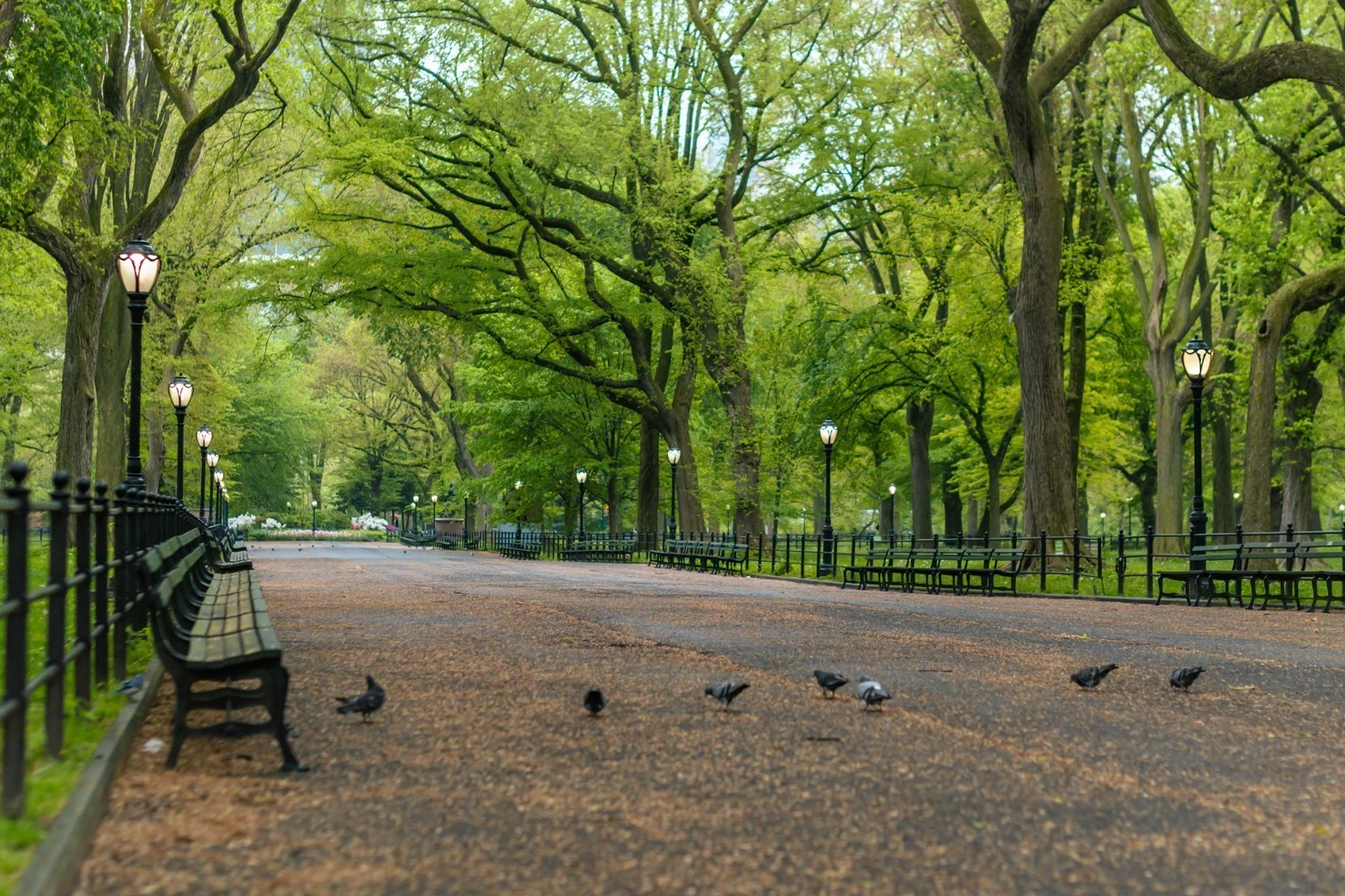 Central Park's Hidden Gems: Explore the Park's Best-Kept Secrets