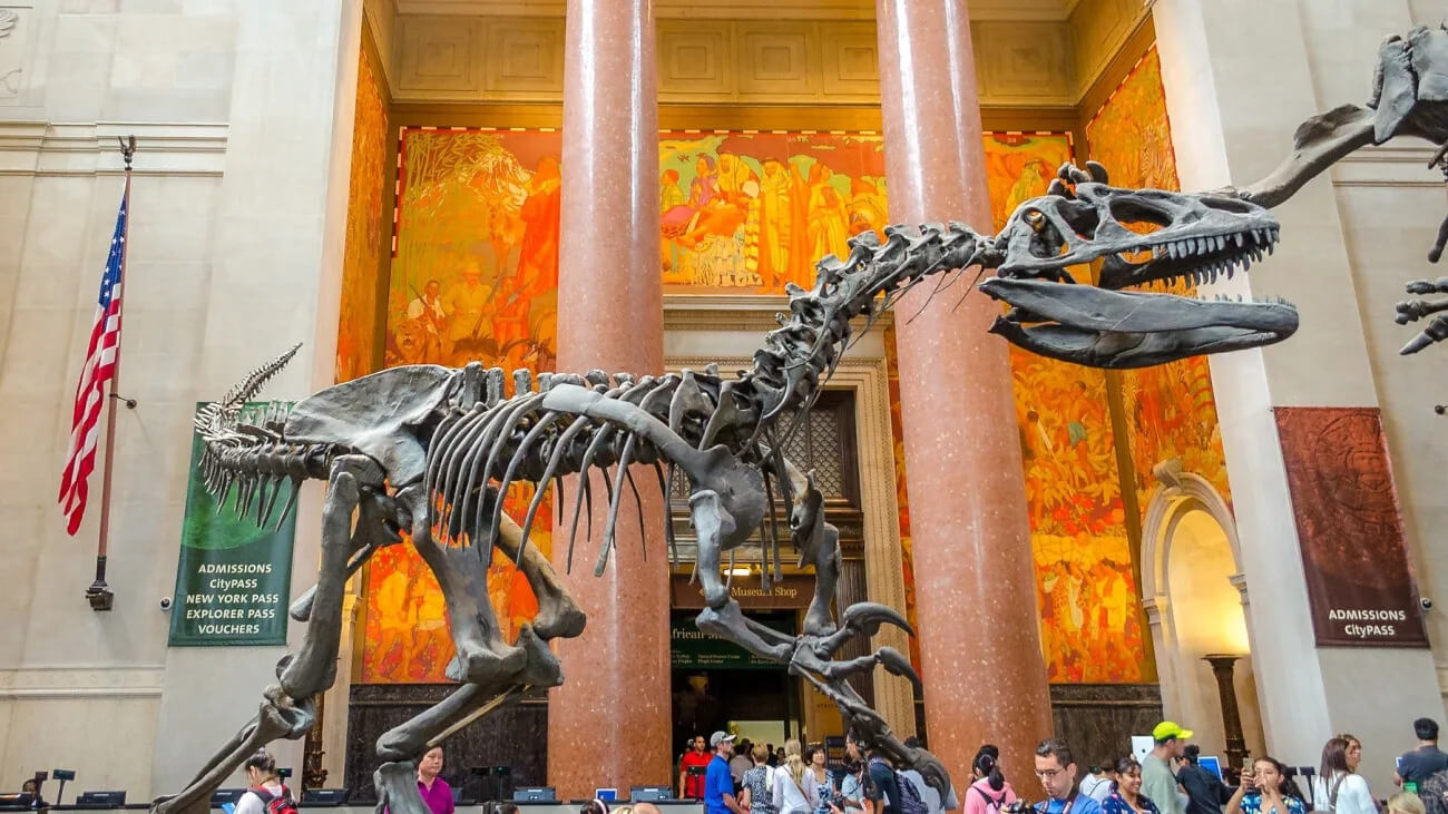 5 Must-See Things at the American Museum of Natural History